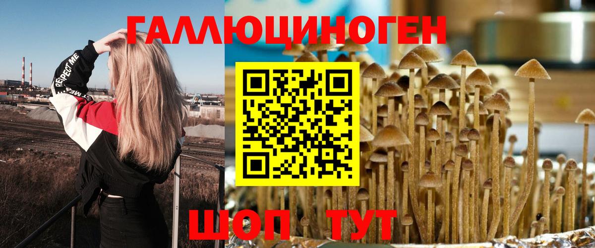 Псилоцибиновые грибы GOLDEN TEACHER Дивногорск
